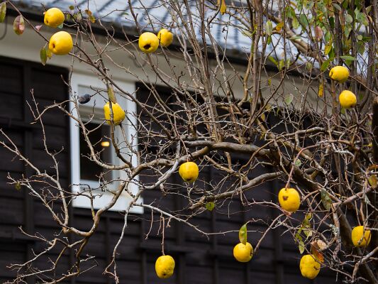 20221116-5H0A0164-2-2