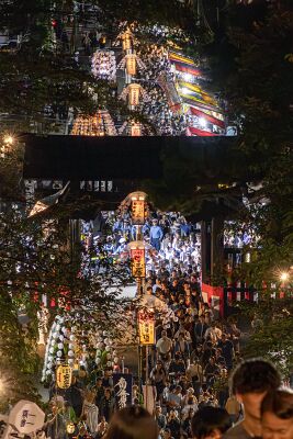 20241012-IMG_4398-強化-NR-3