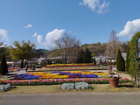 Ashikaga_flower_park_202303