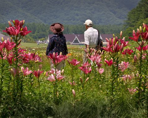 Yuri_Park_Shiobara