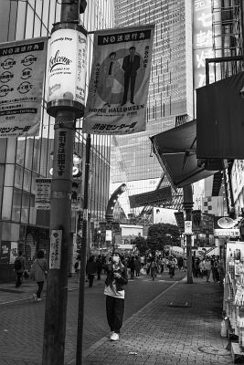 DSC06781-3