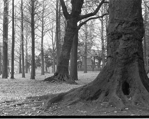 Enryu-ji_Temple_1964