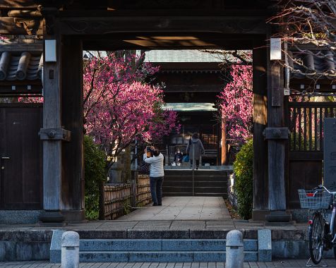 Enryu-ji_Temple_2022