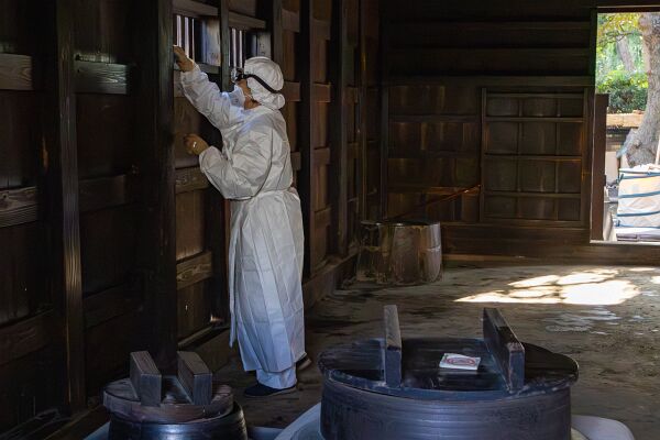 20231209-IMG_8720-強化-NR