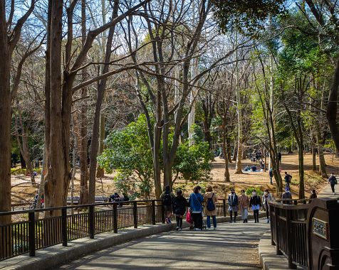 Rinshinomori_Park