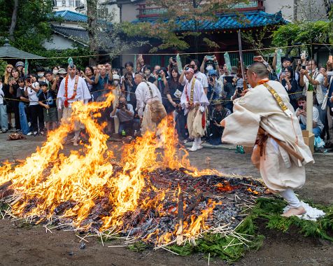 Fire-walking_Aragyo_at_Shinagawa-dera_Temple