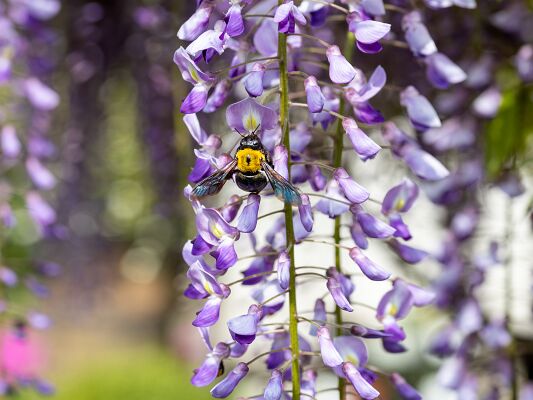 IMG_4647-強化-NR-2