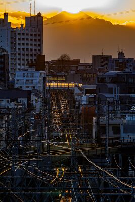 20250214-IMG_6424