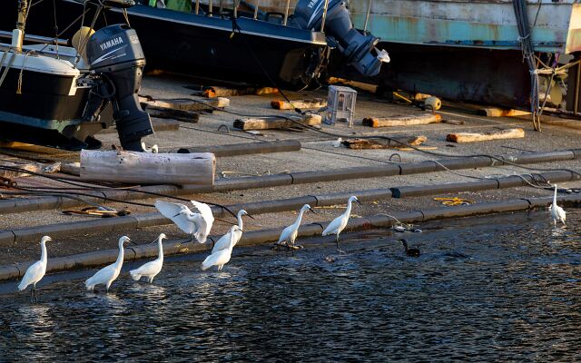 IMG_6751-強化-NR-2