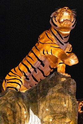 20250203-IMG_2121