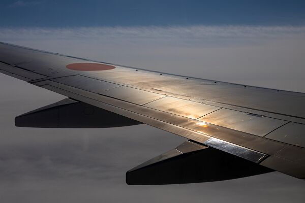 20250203-IMG_1626-2