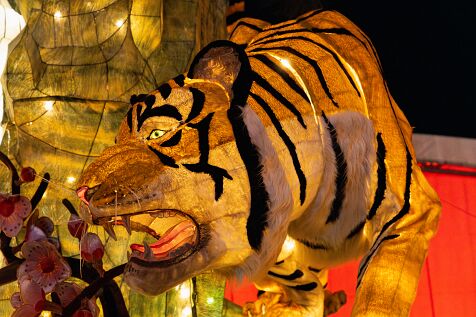 Lantern_Festival