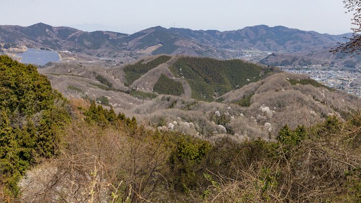 IMG_4125-強化-SR