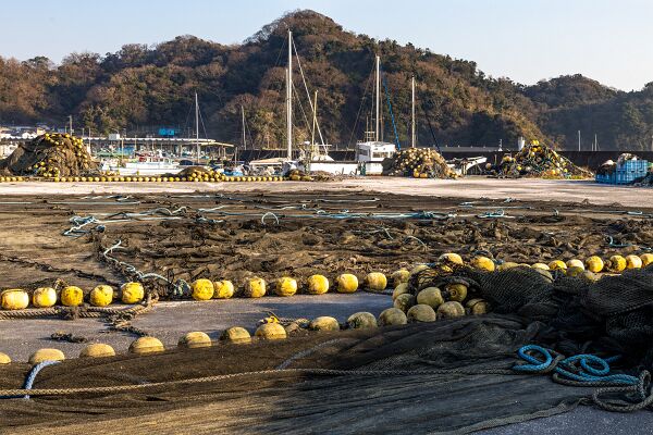 IMG_3385-強化-NR