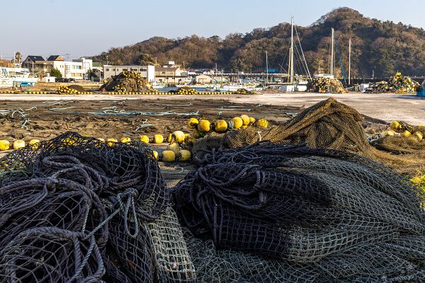 IMG_3387-強化-NR