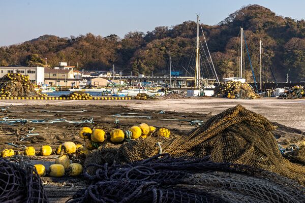 IMG_3388-強化-NR