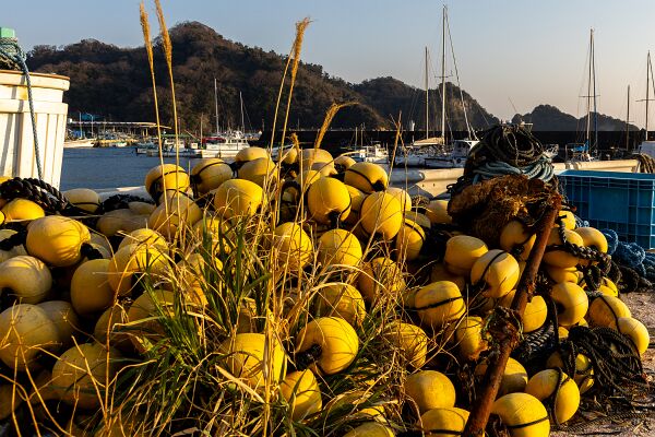 IMG_3411-強化-NR