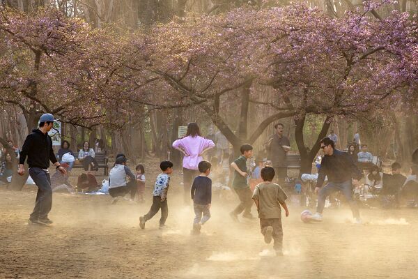20250302-IMG_3058