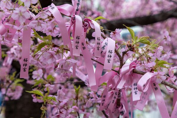 IMG_3210-2 (sRGB)