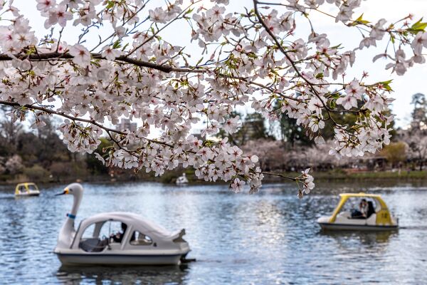 IMG_3972-強化-NR-2