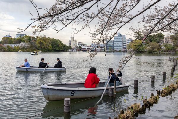 IMG_3982-強化-NR