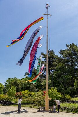 IMG_6163