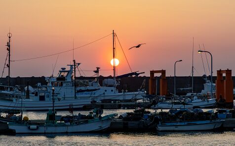 Kyonan_Fishing_Port
