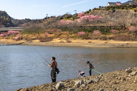 Sakuma_Reservoir