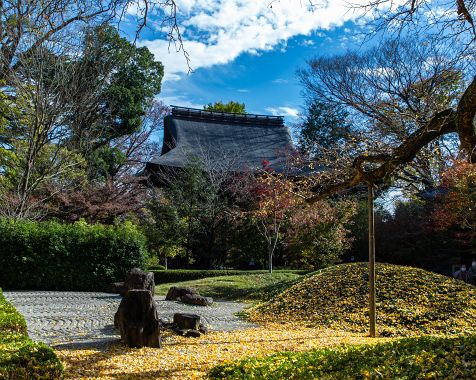 Kuhonbutsu in deep autumn 2020.11.30