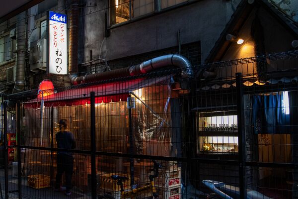 95-100-20190108-606A7215