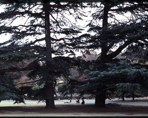 Shinjuku_Imperial_Palace_2005