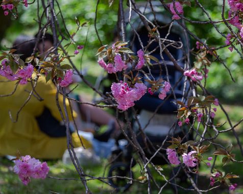 Shinjuku_Imperial_Palace_2022