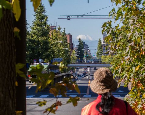 Mt.Fuji_seen_from_Tokyo