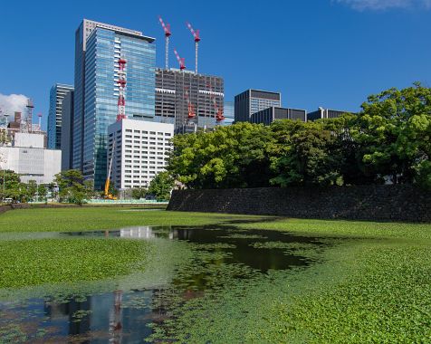 The_East_Gardens_in_Imperial_Palace