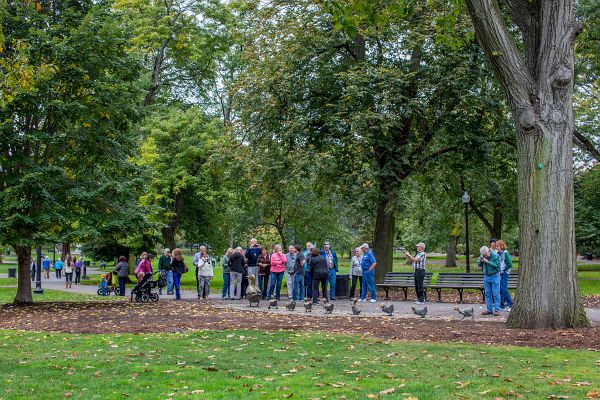 Turny_2013_10_18_0679