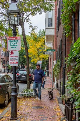 Turny_2013_10_18_0693