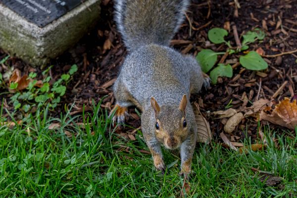 Turny_2013_10_18_1044