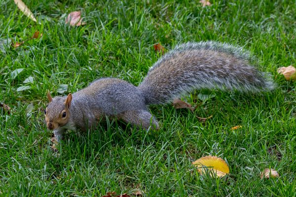 Turny_2013_10_18_1051