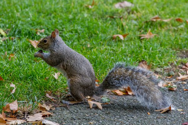 Turny_2013_10_18_1059