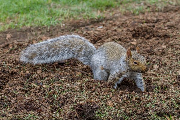 Turny_2013_10_18_1069