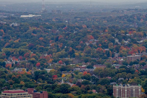 Turny_2013_10_17_1016-2