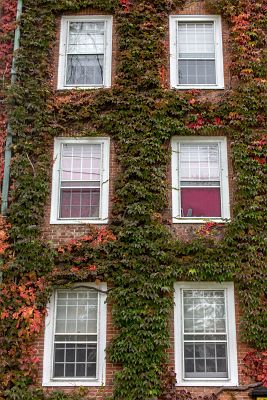 Turny_2013_10_20_0084