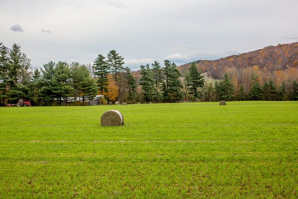 Turny_2013_10_20_0087-2