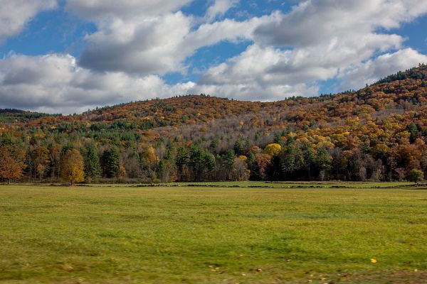 Turny_2013_10_20_0143