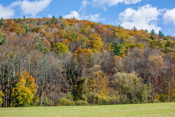 Turny_2013_10_20_0144