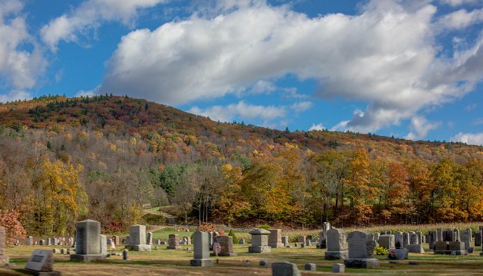 Turny_2013_10_20_0151