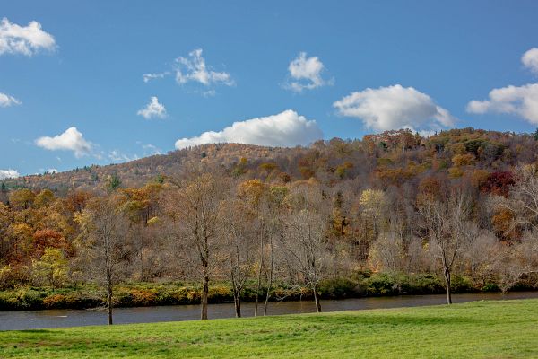 Turny_2013_10_20_0162-2