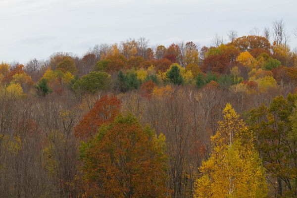 Turny_2013_10_20_1092