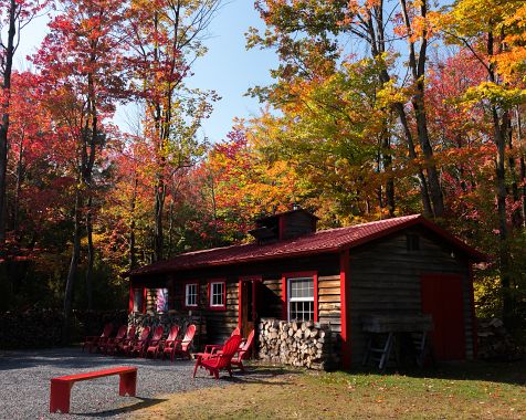 Autumn_leaves_in_Canada