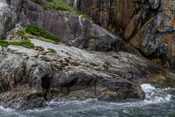 _MG_1752